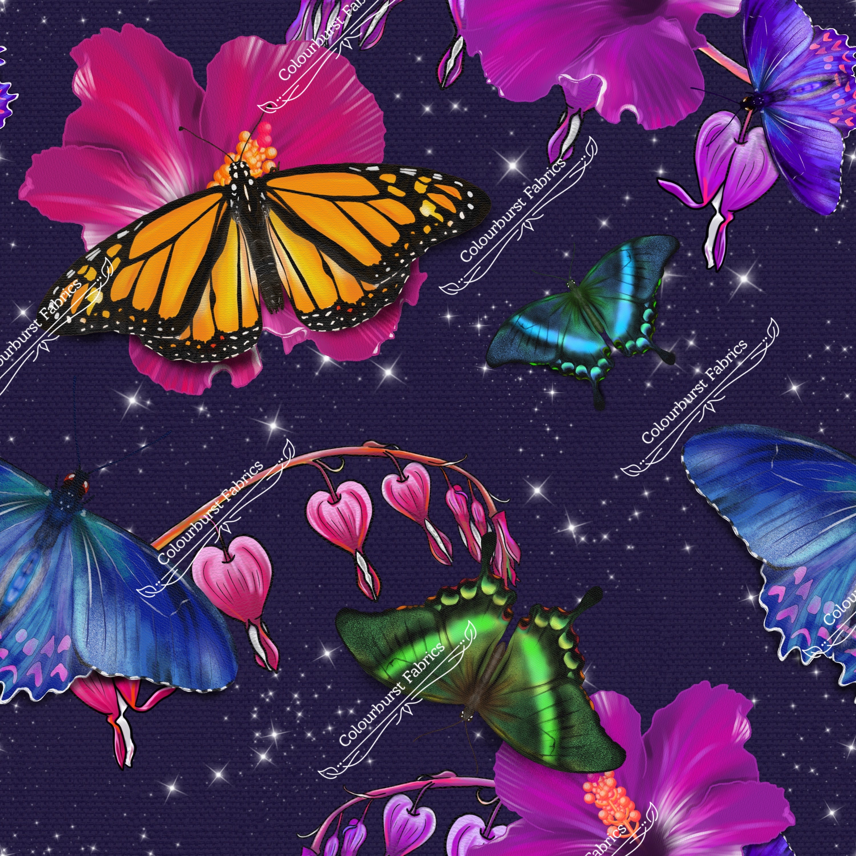 Nature Walks EXCLUSIVE (Pre-order)