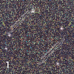 Load image into Gallery viewer, Holographic Faux Glitters (32 Shades!)
